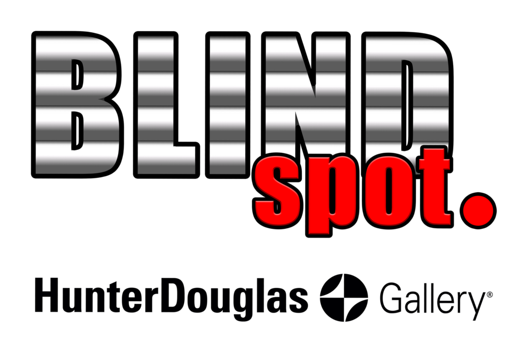 blind spot logo