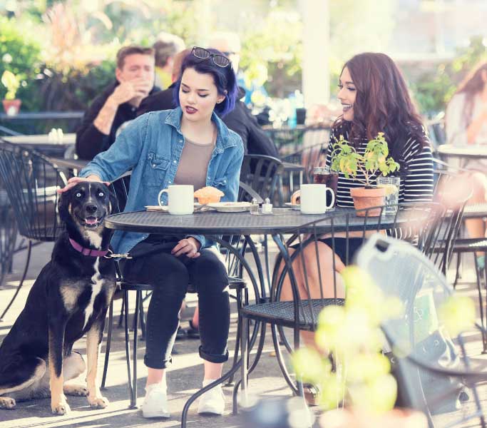 young woman petting her dog while sitting at a bakery with a friend